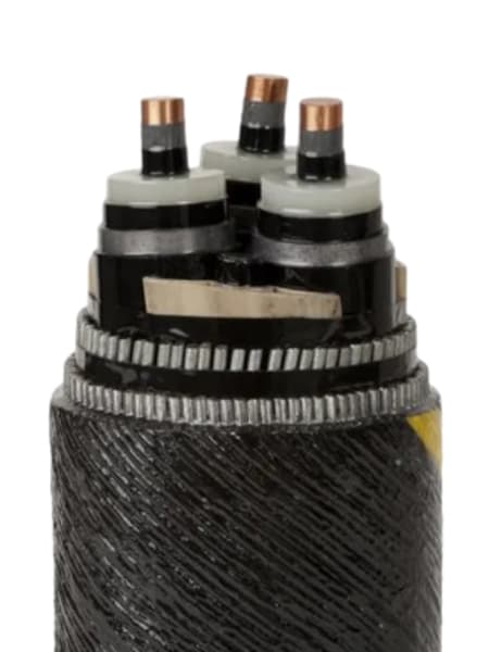 Submarine Cable